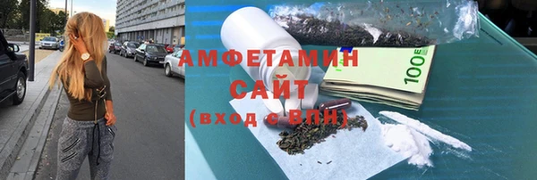 индика Белокуриха
