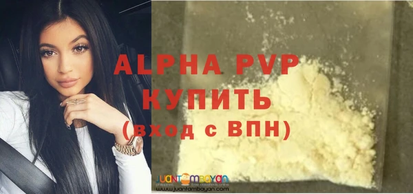 индика Белокуриха