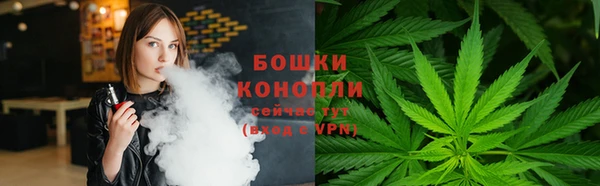 ALPHA PVP Богданович