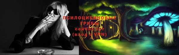 индика Белокуриха